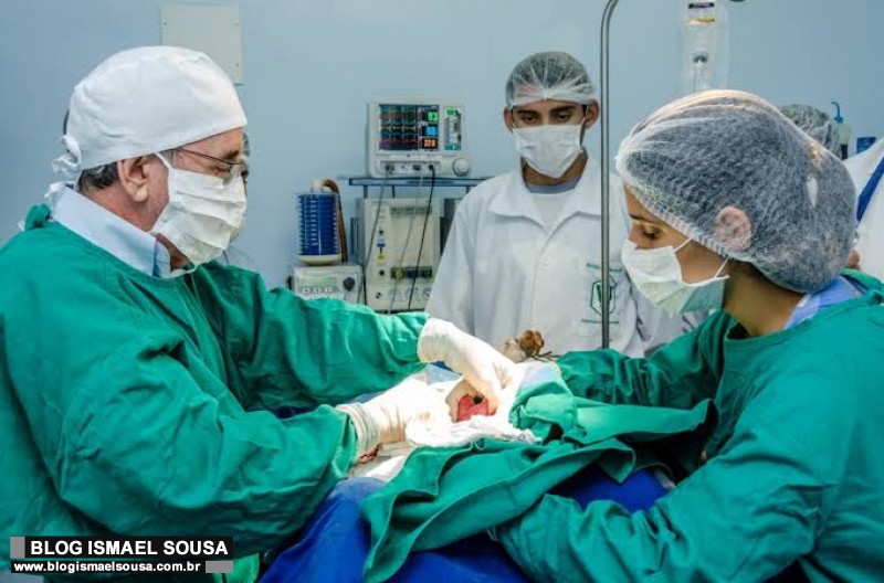 Hospital VeterinÃ¡rio de MossorÃ³ reabre dia 11 de janeiro