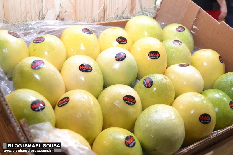 Expofruit 2021 anuncia programação que contará com a participação de empresas globais