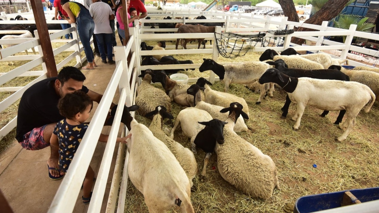 Festa do Bode 2023 movimentou cerca de R$ 10 milhões, diz secretário