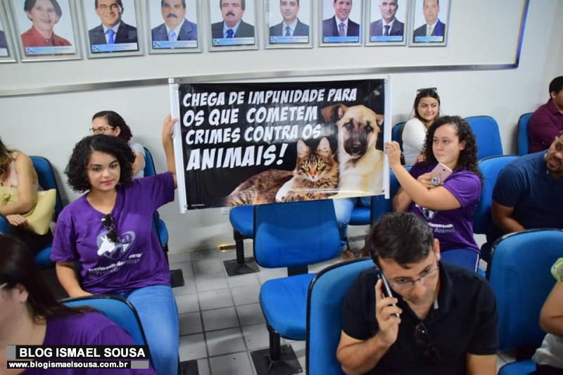 AudiÃªncia pÃºblica discute situaÃ§Ã£o dos animais de rua de MossorÃ³