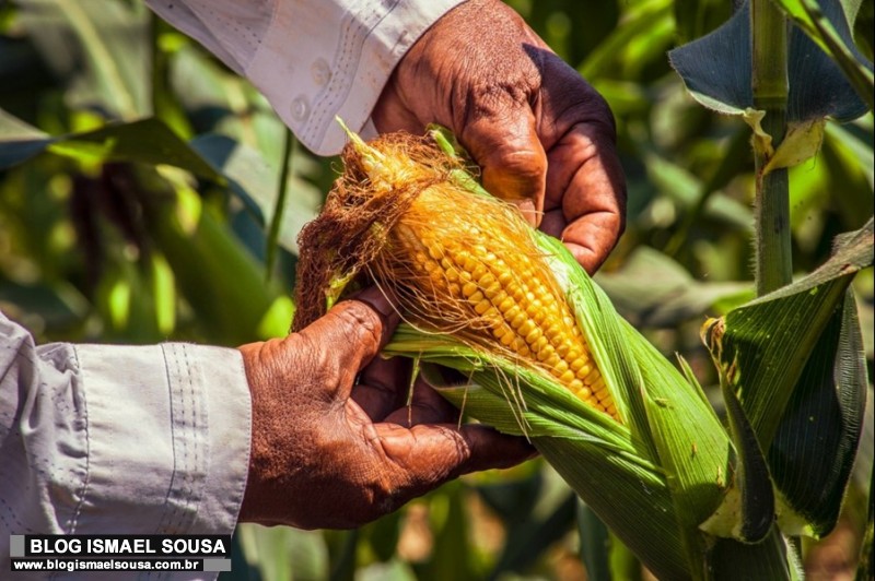 Limoeiro do Norte e Baraúna recebem evento para  produtores rurais nos dias 25 e 27