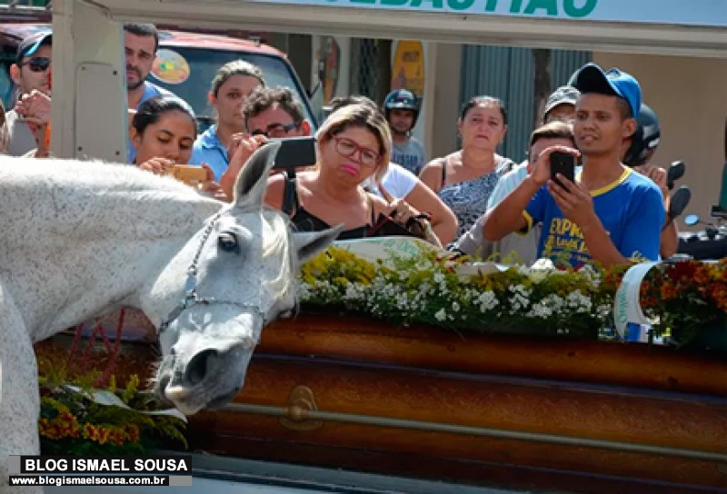 Cavalo se despede do dono morto em acidente e comove velÃ³rio