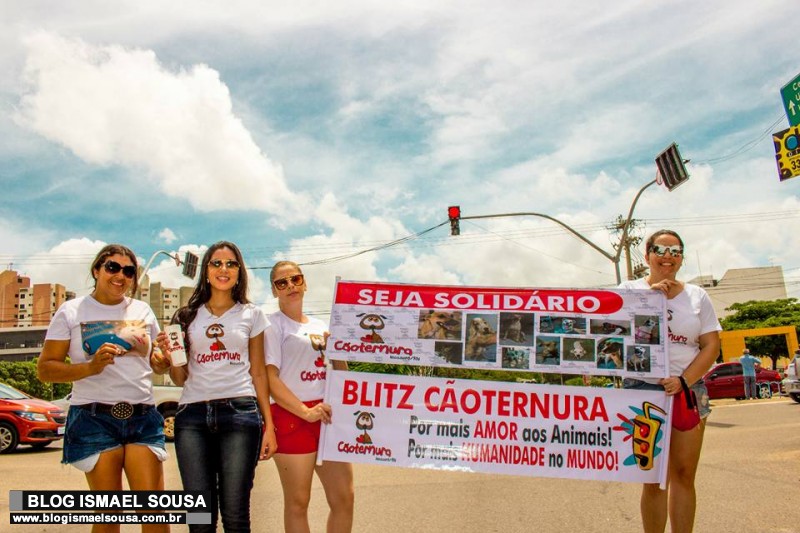 Blitz arrecada fundos para custear tratamento de animais abandonados em MossorÃ³