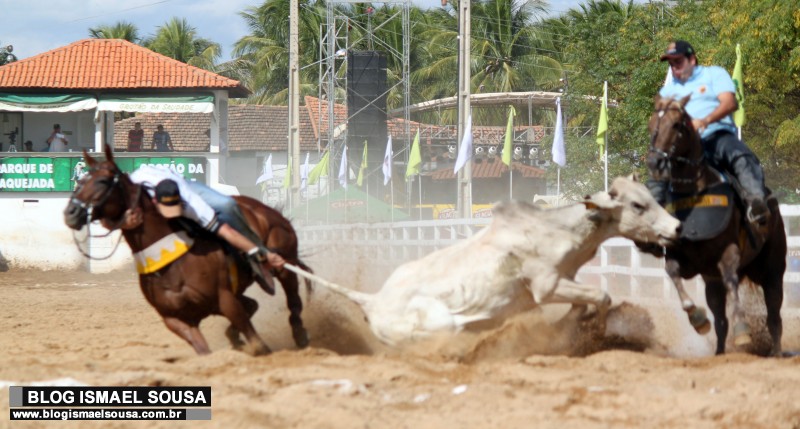 Senado aprova lei que torna vaquejada patrimÃ´nio cultural imaterial