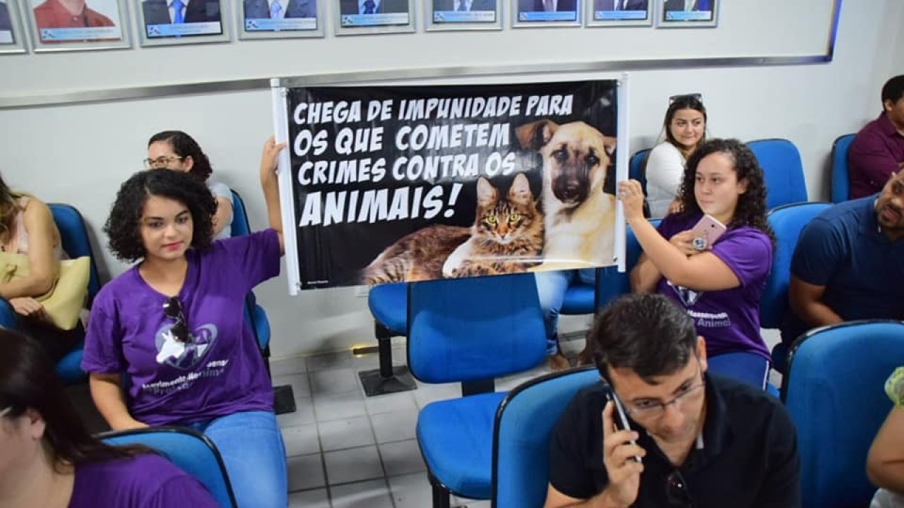 Causa animal caminha para ficar sem representatividade na Câmara de Mossoró