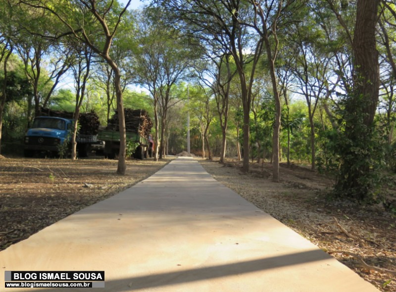 Parque Municipal de MossorÃ³: onde o esporte se mistura com a natureza