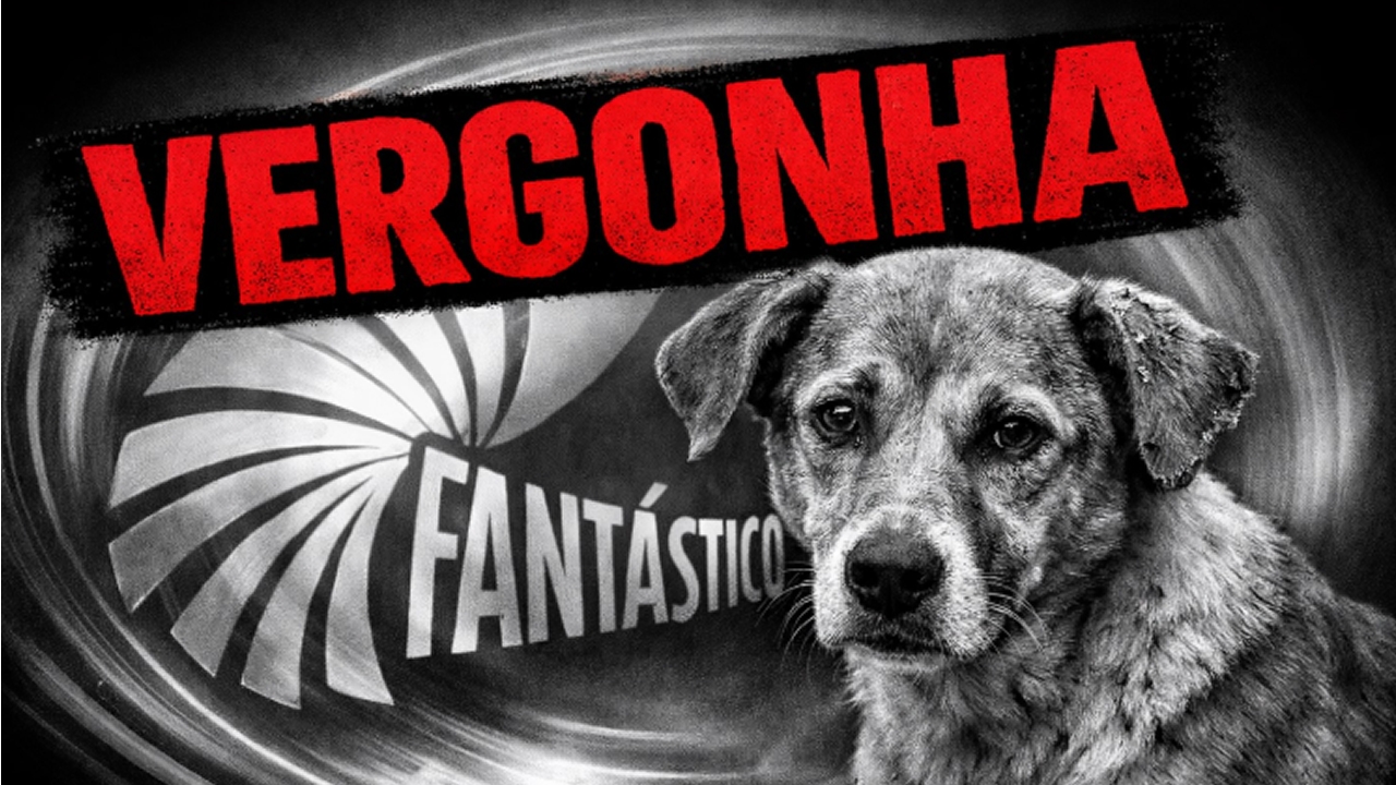 Fantástico ignora investigação profunda e banaliza morte brutal do cão Orelha