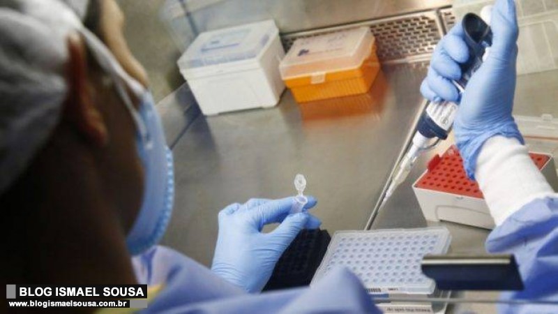 MossorÃ³ tem 116 pessoas curadas da Covid-19