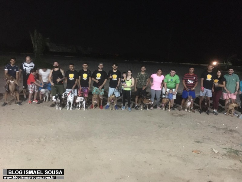 Passeio reÃºne criadores de cÃ£es da raÃ§a pitbull em MossorÃ³