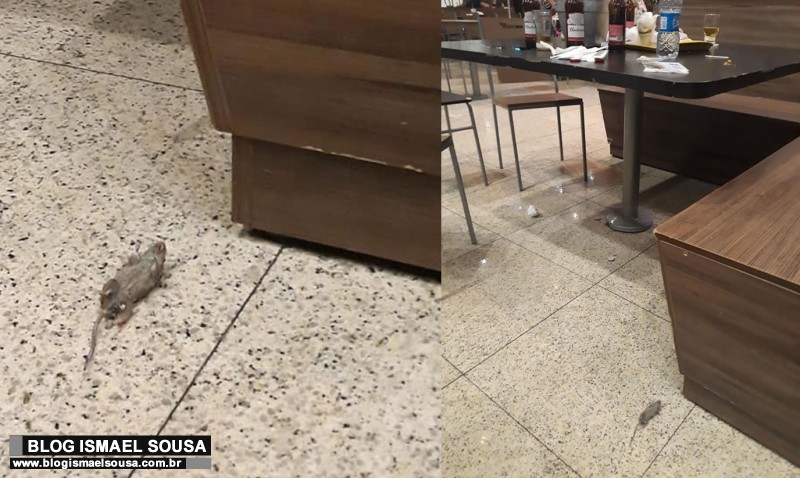 Cliente denuncia presenÃ§a de ratos na praÃ§a de alimentaÃ§Ã£o do Partage Shopping