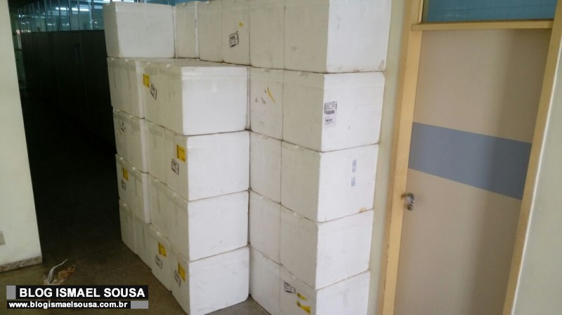 Prefeitura recebe insulinas e farÃ¡ mutirÃ£o neste sÃ¡bado