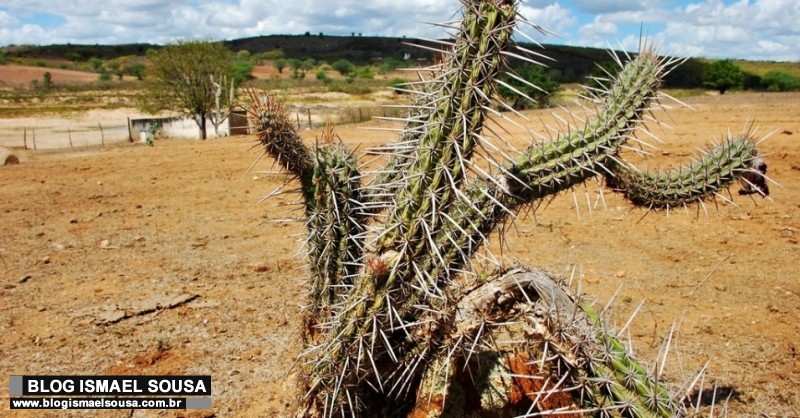 â€œNÃ£o haverÃ¡ mais chuvas este ano no interior do RNâ€, afirma titular da SEMARH