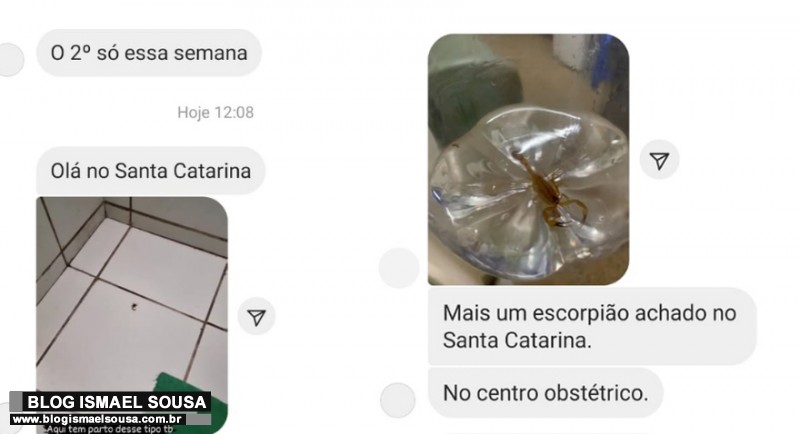 Servidores denunciam surgimento de escorpiões em hospital do Estado