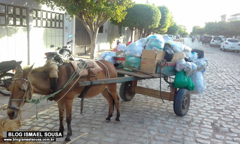 Moradores do Boa Vista contratam carroceiro para retirar lixo da rua