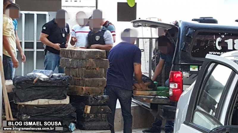 PolÃ­cia apreende mais de meia tonelada de maconha na zona rural de Upanema
