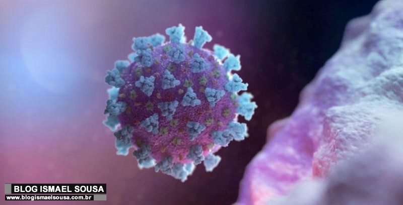Anticorpo criado em laboratório pode proteger de variantes da Covid