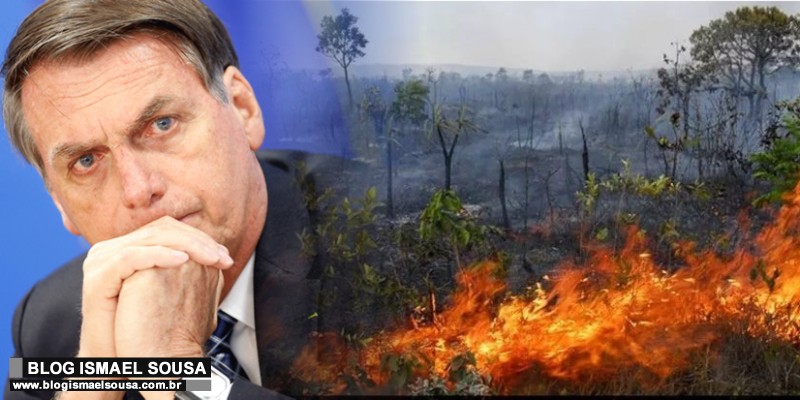Agenda 2030: o plano dos globalistas para tomar a AmazÃ´nia dos brasileiros