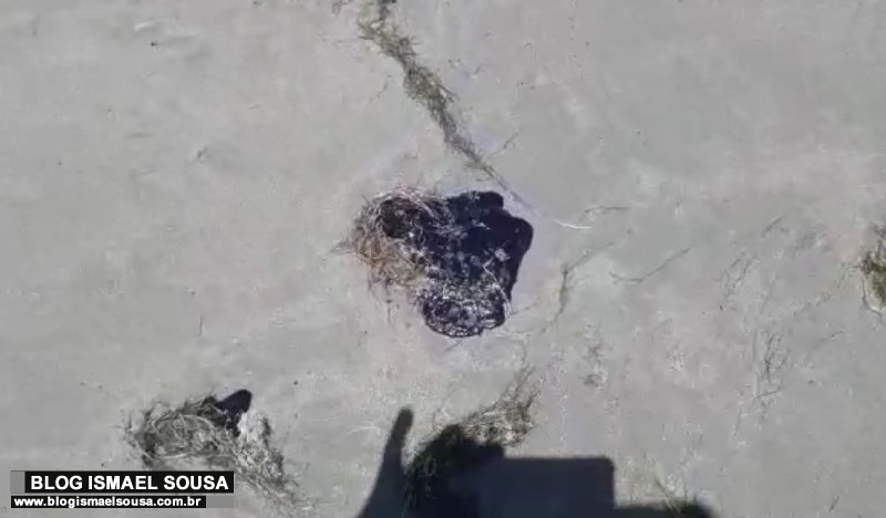 Ã“leo chega Ã  praia de IcapuÃ­, no CearÃ¡