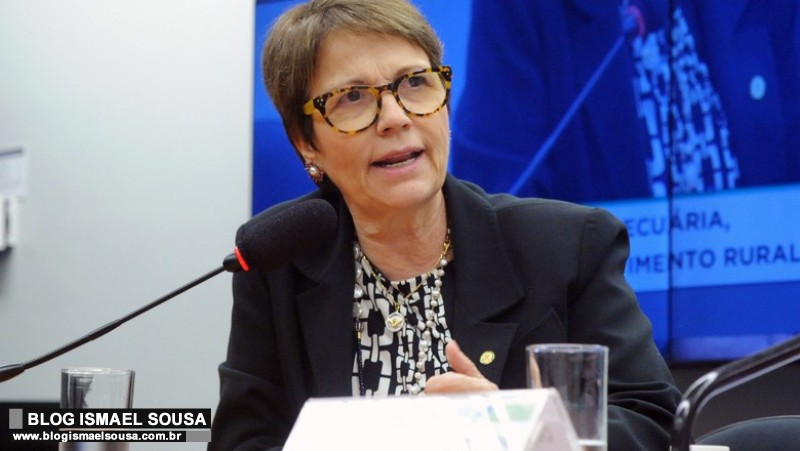 Ministra da Agricultura Tereza Cristina cumprirÃ¡ agenda em MossorÃ³ em fevereiro