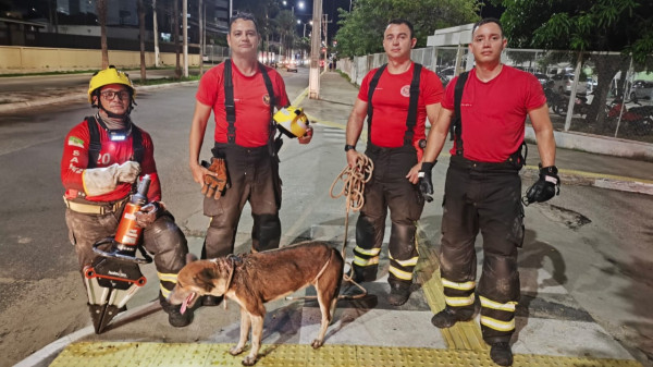Bombeiros do RN realizam resgate de cachorro preso em rede de esgoto em Mossoró