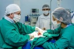 Hospital VeterinÃ¡rio de MossorÃ³ reabre dia 11 de janeiro