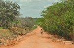 Motoristas que trafegam na estrada da Alagoinha viram alvo de assaltantes