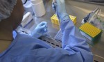 Média de mortes por Covid-19 no Brasil está em queda, diz Fiocruz