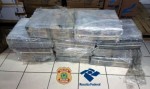 PolÃ­cia Federal apreende cerca de 238 kg de cocaÃ­na no Porto de Natal