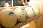 Expofruit 2020 com grandes expectativas no mercado chinÃªs