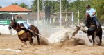 Senado aprova lei que torna vaquejada patrimÃ´nio cultural imaterial