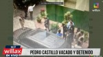Pedro Castillo é preso no Peru após tentativa de golpe