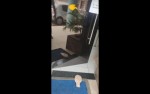 Protesto com merda na porta da Câmara foi feito por paciente colostomizado