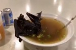 Sopa de morcego pode ter relaÃ§Ã£o com surto de coronavÃ­rus na China
