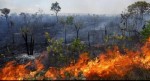 Governo recebeu denÃºncias de incÃªndios criminosos, diz porta-voz