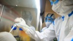 Medicamento usado contra piolhos mostra resultados positivos no combate ao coronavÃ­rus