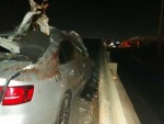 Instrutor de academia morre durante colisão entre carro e animal em Mossoró