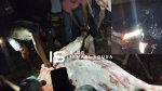 Após acidente, moradores retalham boi atropelado para roubar a carne em Mossoró
