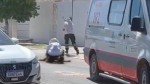 Idoso e dois cães morrem após ataque de abelhas em Mossoró