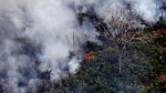 Bolsonaro manda investigar grupo que convocou "dia do fogo" no ParÃ¡