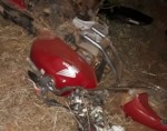 Acidente deixa 4 mortos na BR-405 em JosÃ© da Penha