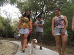 Parque Municipal registra bom movimento no primeiro fim de semana de funcionamento