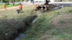 Infraestrutura executa serviÃ§os de limpeza nas imediaÃ§Ãµes da Avenida Abel Coelho